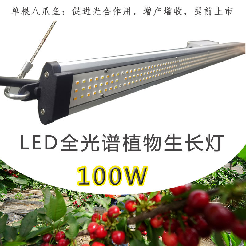 全光譜LED植物生長燈八爪魚100W定制光譜五檔調節(jié)180w燈條補光燈